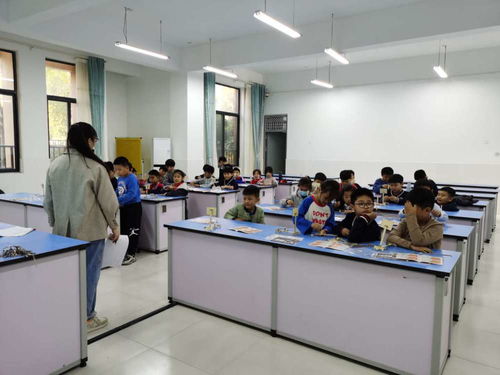 推進課后服務 彰顯教育溫度 專業教育咨詢服務的價值與實踐路徑